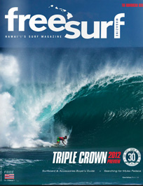 freesurf-bombucha-issue