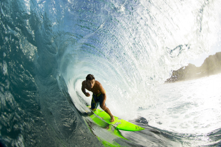 Keanu finding shade in Hawaii. Photo: Brent Bielmann