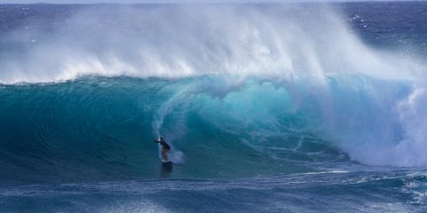 Spotlight: Alex Florence - Freesurf Magazine